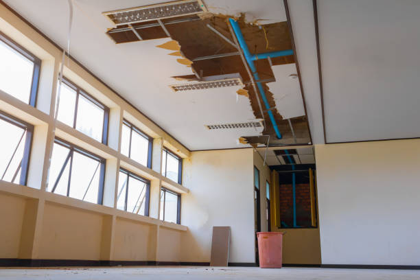 Best Flood restoration services  in Lawton, IA