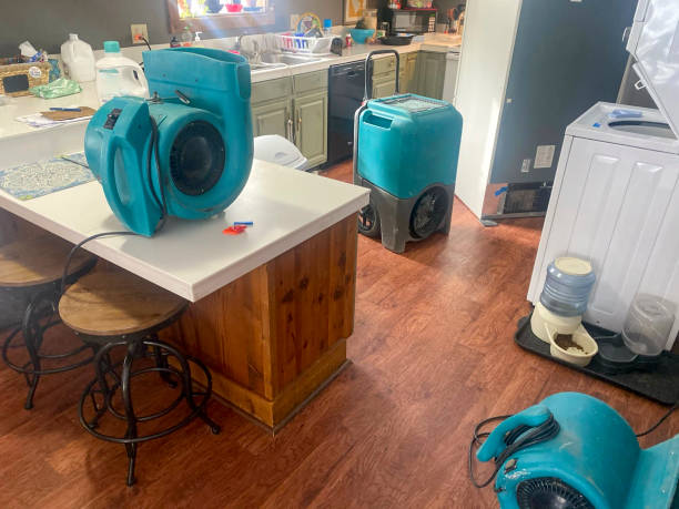 Best Carpet water damage restoration  in Lawton, IA