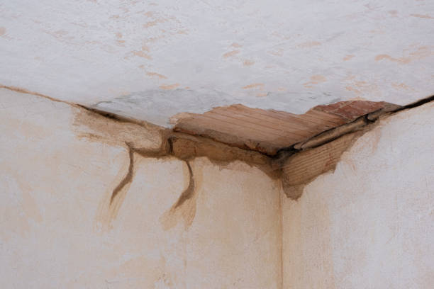 Best Emergency water damage restoration  in Lawton, IA