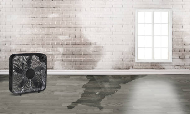 Best Fire Damage Restoration  in Lawton, IA
