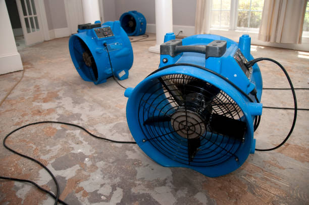 Best Flooded house restoration  in Lawton, IA