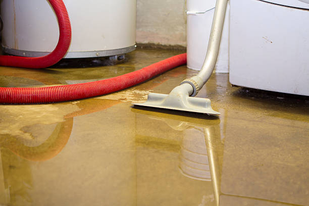 Best Commercial water damage restoration  in Lawton, IA