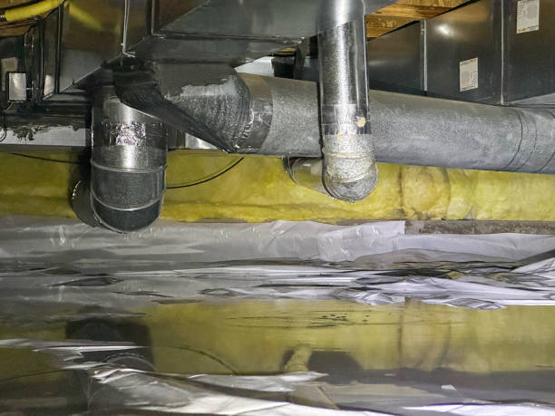 Best Fire Damage Restoration  in Lawton, IA