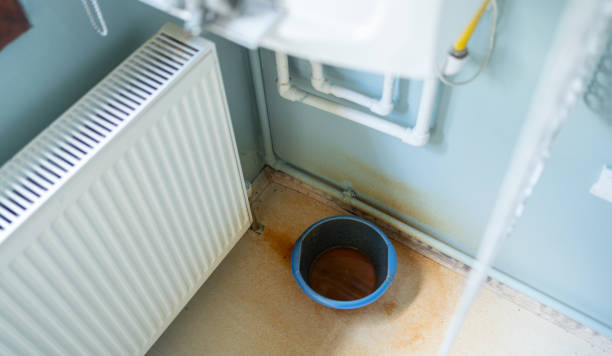 Best Water damage restoration near me  in Lawton, IA