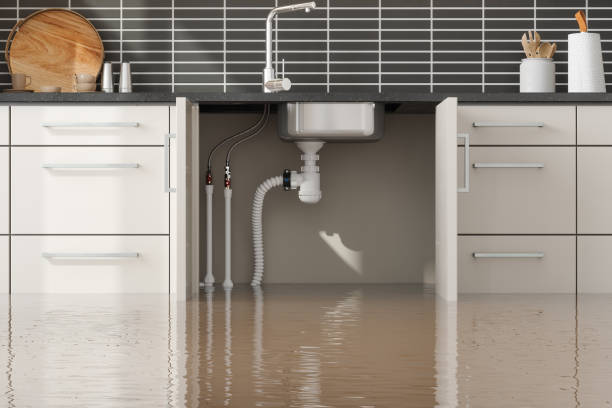 Best Fire Damage Restoration  in Lawton, IA